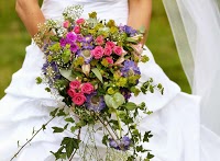 Kerry Ann Arden Wedding Florist 1093288 Image 0